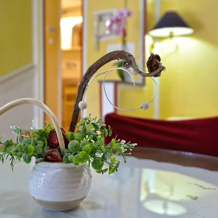 Apartman Zena Murter