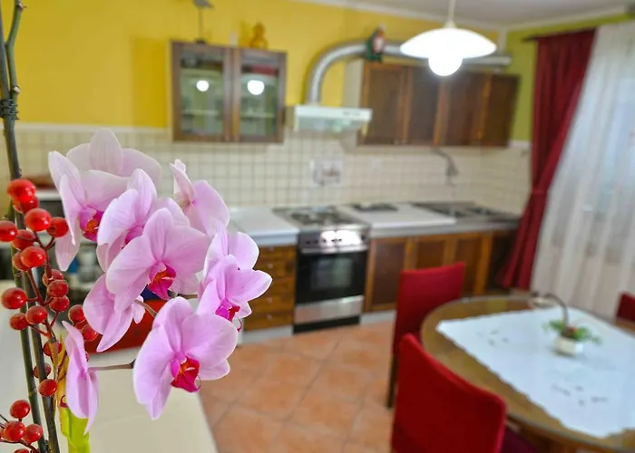 Zena * Μούρτερ